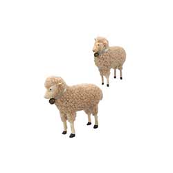 German Reproduction Lambs (Set of 2)
