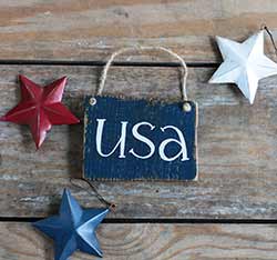 USA Small Wooden Sign - Blue