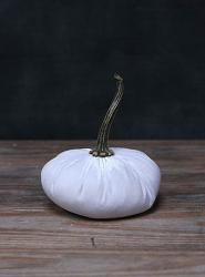 White Velvet Pumpkin - Small