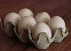 Wooden Eggs (set of 6)