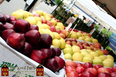 Bothell Farmers Market in Country Village Shops