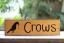 Crows Wooden Sign With Star