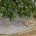 Sanbourne 48 inch Tree Skirt by VHC Brands at The Weed Patch