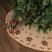 Jute Burlap Poinsettia 55 inch Tree Skirt by VHC Brands at The Weed Patch