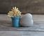 Mom Flower Pot with Rock