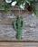 Saguaro Cactus Personalized Ornament 