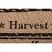 56771  Farmhouse Thanksgiving Rug Sawyer Mill Charcoal by VHC Brands at The Weed Patch