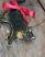 Tortoiseshell Cat Ornament