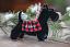 Scottish Terrier Personalized Ornament