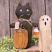 Trick or Treat Cat Doll