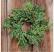 Christmas Green Prickly Pine 2 inch Candle Ring
