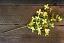 Blooming Forsythia 18 inch Pick