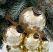 Gold Crackled Glass Ball Ornaments