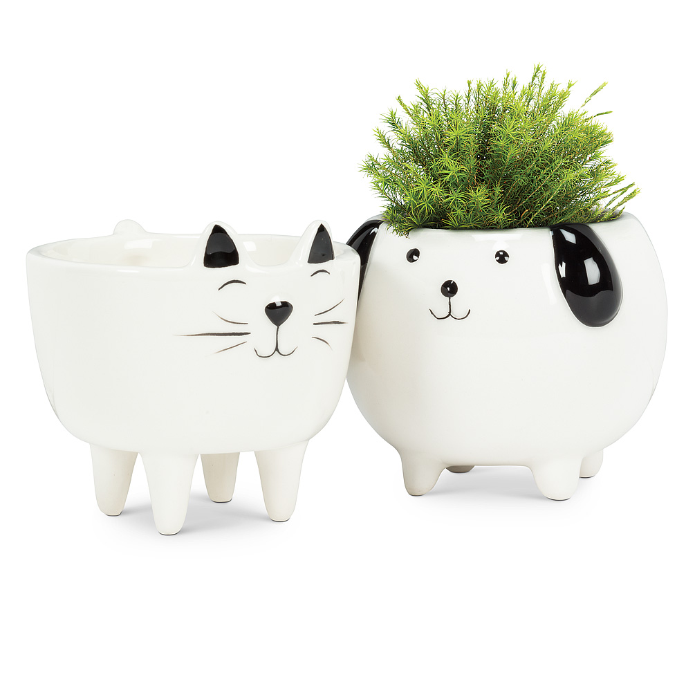Mini Cat Ceramic Pot