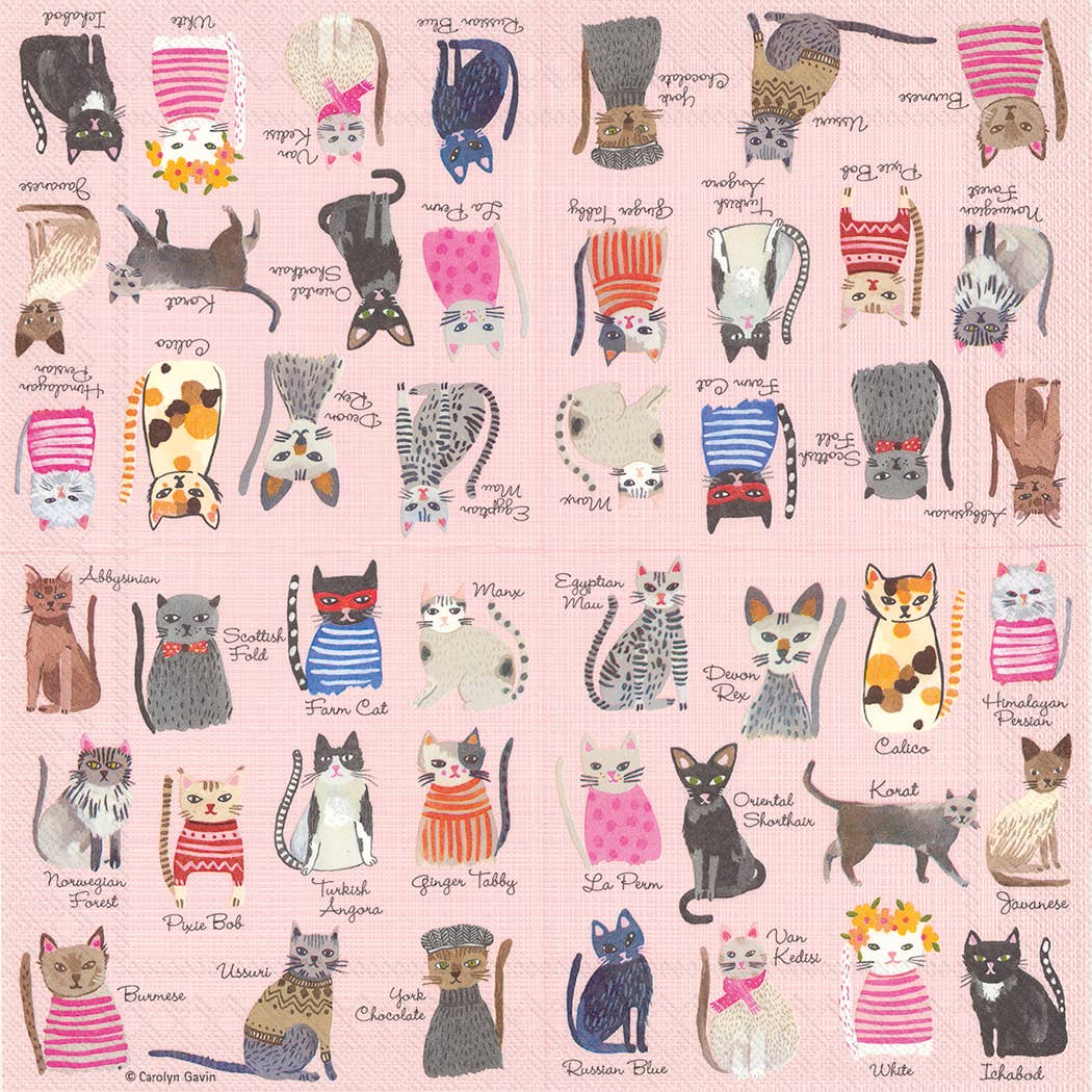 Cool Cats Paper Luncheon Napkins