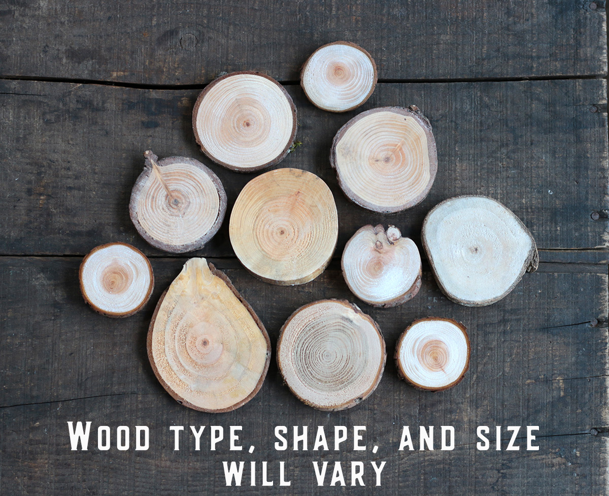 Wood slice shapes and sizes