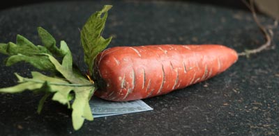Terra Cotta Carrot