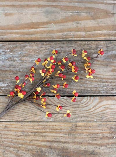Bittersweet Floral Branch