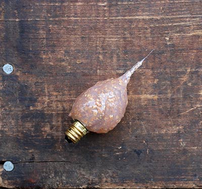 Cocoa Mint Scented Silicone Light Bulb