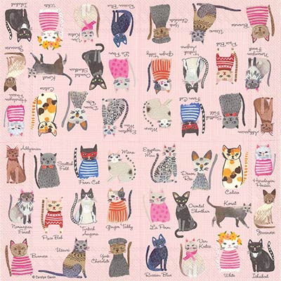 Cool Cats Paper Cocktail Napkins