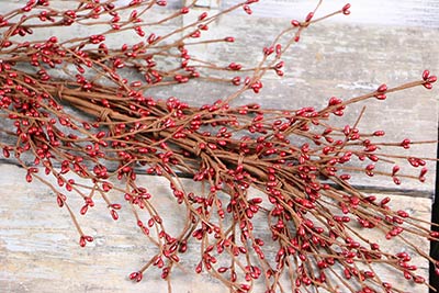 Red Pip Berry Garland