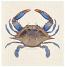Blue Crab Swedish Dishcloth
