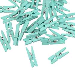Mint Mini Clothespins (30 Pack)