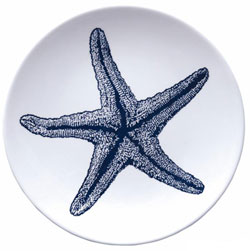 Starfish Salad Plate