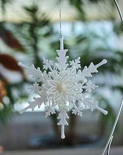 Snowflake with Flower Ornament