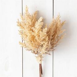 Beige Plumes Bunches (Set of 2)