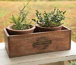 Rustic Herb Plants with Pots