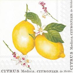 Lemon Citrus Medica Luncheon Napkins