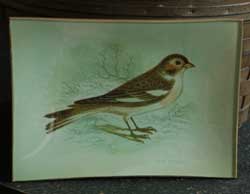 Vintage Bird Botanical Glass Tray