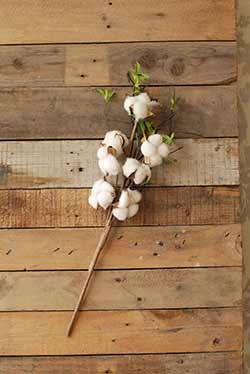 Cotton Boll Spray with Leaves