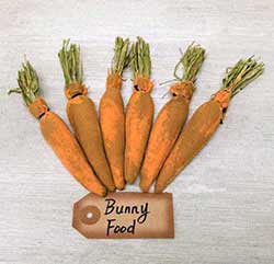 Grungy Fabric Carrots (Set of 6)