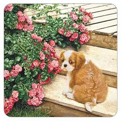 Cavalier Pup with Roses Coaster