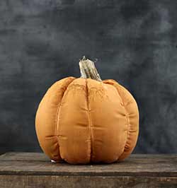 Stuffed Pumpkin with Stem