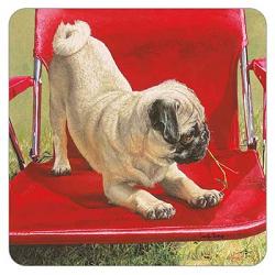 Pug on Red Chair Coaster