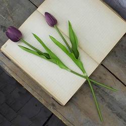 Purple Tulips, Large (Set of 2)