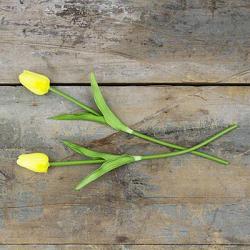 Yellow Tulips, Small (Set of 2)
