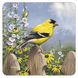 American Goldfinch Coaster