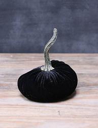 Black Velvet Pumpkin - Small