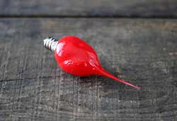 Bright Red Colored Silicone Light Bulb (Unscented)