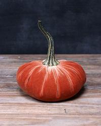 Harvest Orange Velvet Pumpkin - Large