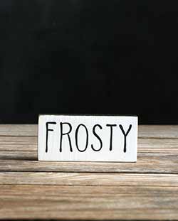 Frosty Shelf Sitter